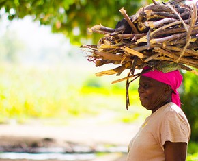 Agriculture: The Basis of Every Economy