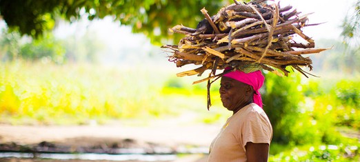 Agriculture: The Basis of Every Economy
