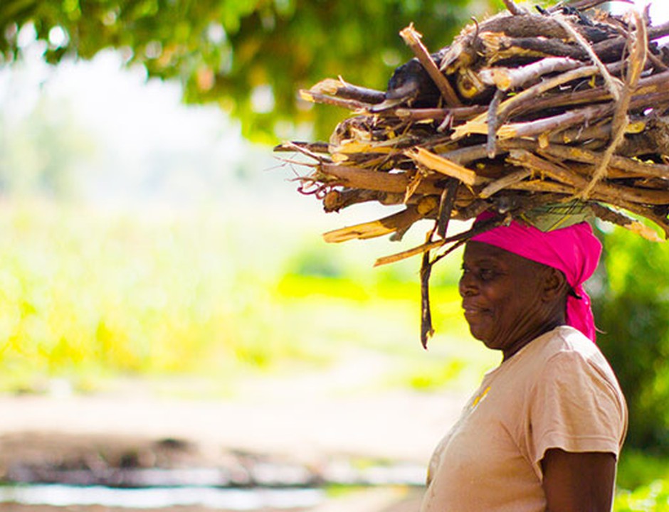 Agriculture: The Basis of Every Economy