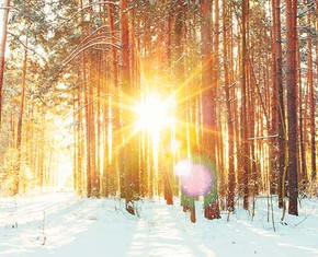 Light and the Winter of Life