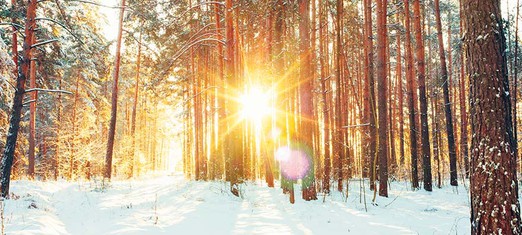 Light and the Winter of Life