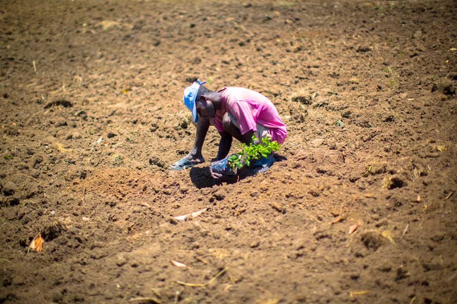 The-Baha’i-Economic-System-Starts-with-the-Farmer-2