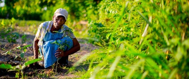 The Baha’i Economic System Starts with the Farmer