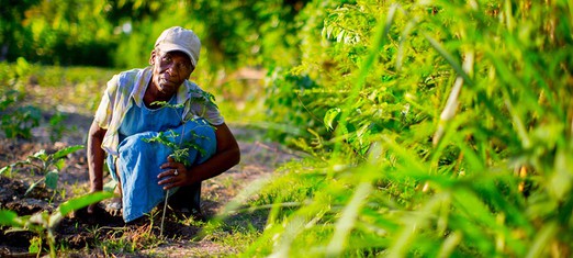 The Baha’i Economic System Starts with the Farmer