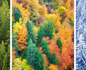 The Cycle of the Seasons—and the Religions