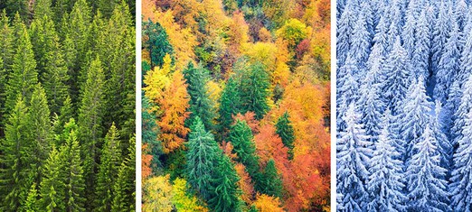 The Cycle of the Seasons—and the Religions