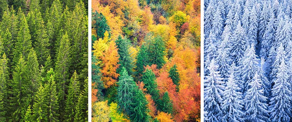 The Cycle of the Seasons—and the Religions