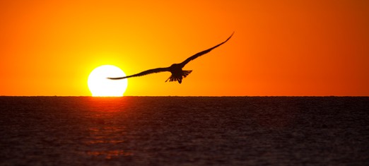 The Death—and Victory—of the Prophet