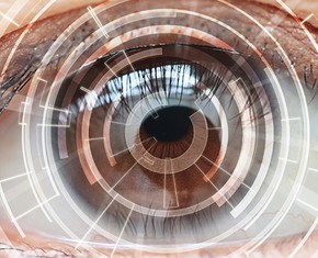 The Science of Seeing the Truth