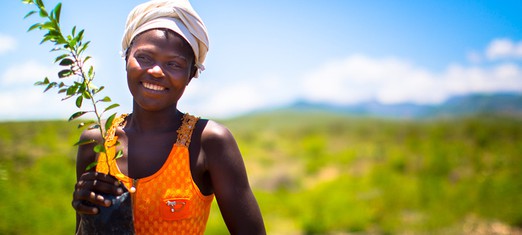 Growing Enough Food to Feed the World