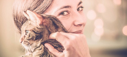 Learning Contentment from my Cats