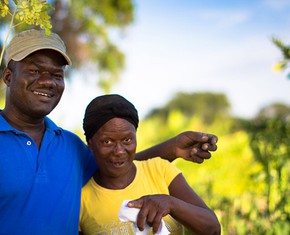 Plant Trees AND Food: the Smallholder Farm Model