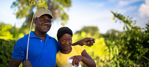 Plant Trees AND Food: the Smallholder Farm Model