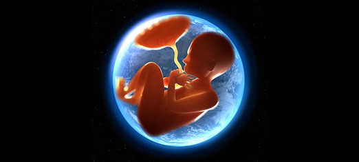 What’s the Purpose of Life?