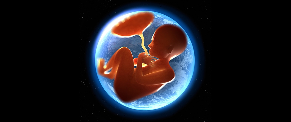 What’s the Purpose of Life?