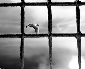 The Ascension of Baha’u’llah, Prisoner of Conscience