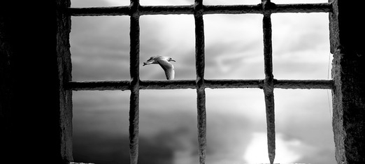 The Ascension of Baha’u’llah, Prisoner of Conscience