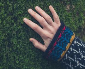 Practicing Faith, Belief and Trust