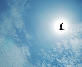 The Problem of Leaving Paradise