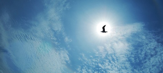 The Problem of Leaving Paradise