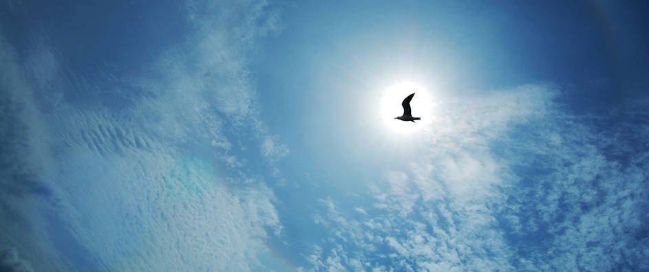 The Problem of Leaving Paradise