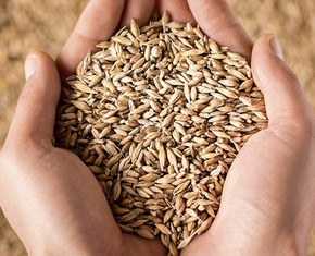 All Great Movements Advance through Altruism