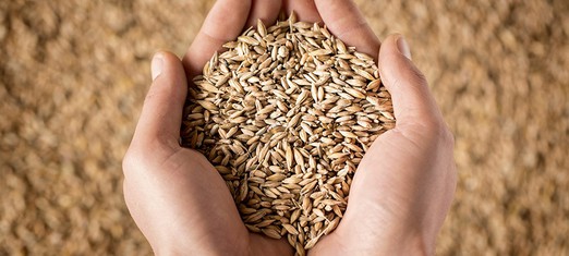 All Great Movements Advance through Altruism