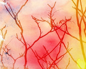 Are We Descendants of Our Mothers or Our Fathers?