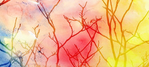 Are We Descendants of Our Mothers or Our Fathers?