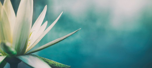 The Case for God and Creation
