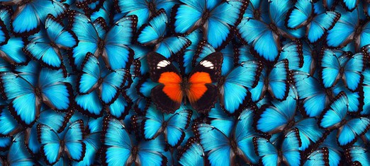 Individualism: A Blessing or a Curse?