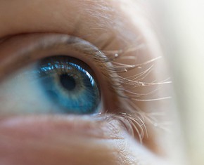 Keep Your Eyes Fixed on the Exalted Kingdom