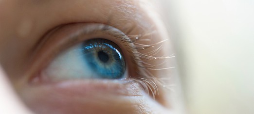 Keep Your Eyes Fixed on the Exalted Kingdom