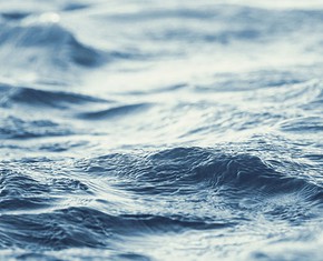 The Living Water of the Sacred Words