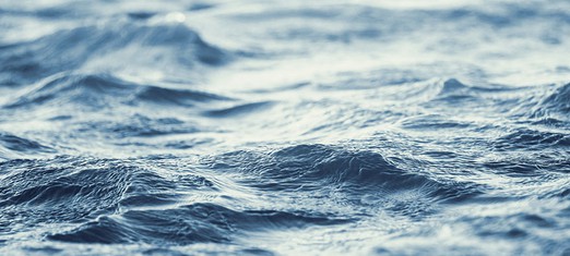 The Living Water of the Sacred Words