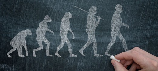 Where’s the Intelligence Behind Intelligent Design?