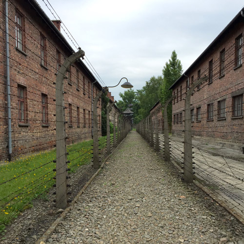 auschwitz