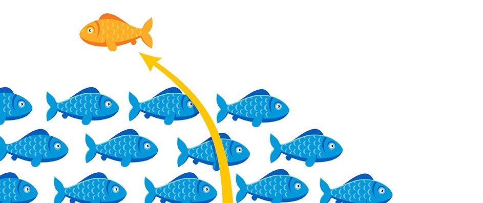 Jumping off the Train of Mainstream Thinking