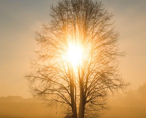 Knowledge: the Inner Core of Religion
