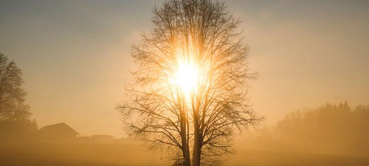 Knowledge: the Inner Core of Religion