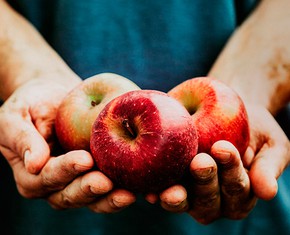 Life Lessons from Working in an Apple Orchard