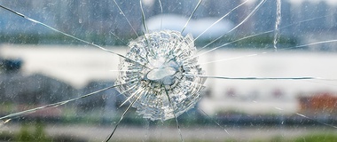 The “Broken Windows” Theory of Criminal Justice