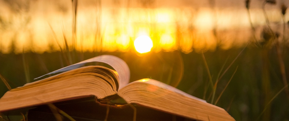 The Foundation of the Religions: One and the Same