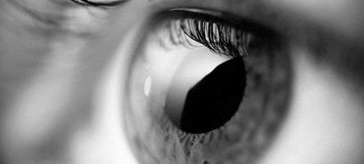 Meeting the Holy Manifestations of God