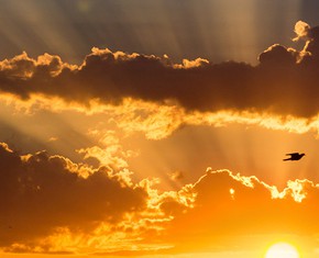 The Ministry of Abdu’l-Baha Begins