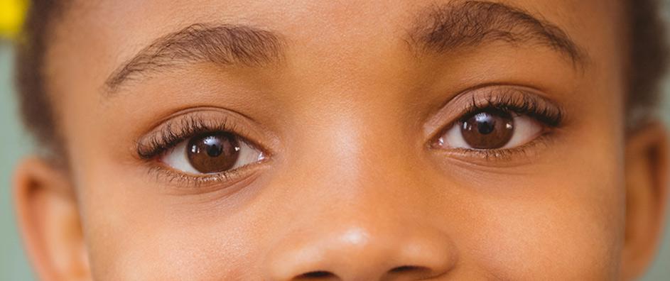 The Baha’i “Pupil of the Eye” Metaphor—What Does it Mean?