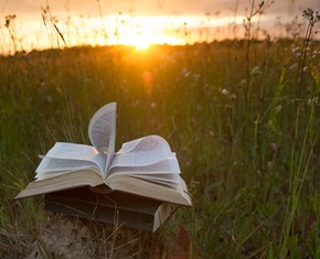 The Generating Impulse that Creates All Life