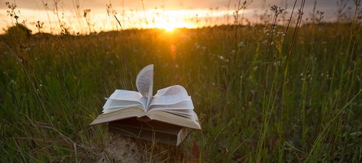 The Generating Impulse that Creates All Life