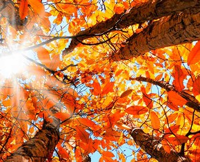 God’s Colors and the Color of God