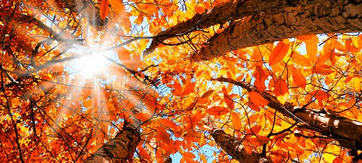 God’s Colors and the Color of God